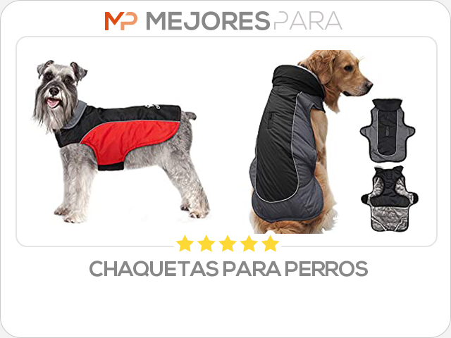 chaquetas para perros