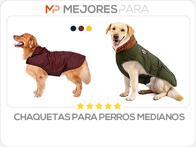 chaquetas para perros medianos