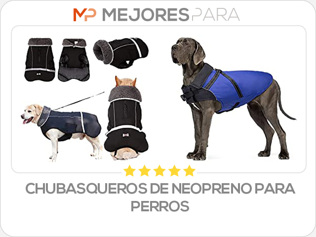 chubasqueros de neopreno para perros