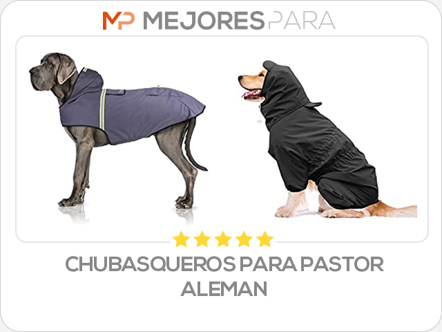 chubasqueros para pastor aleman