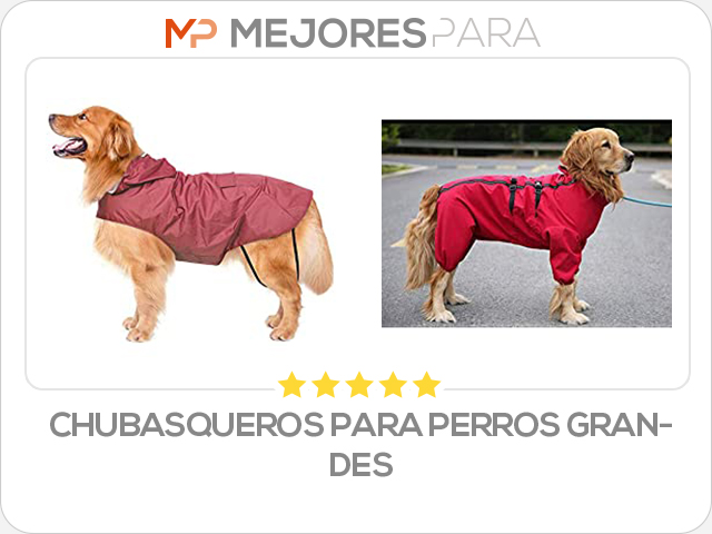 chubasqueros para perros grandes