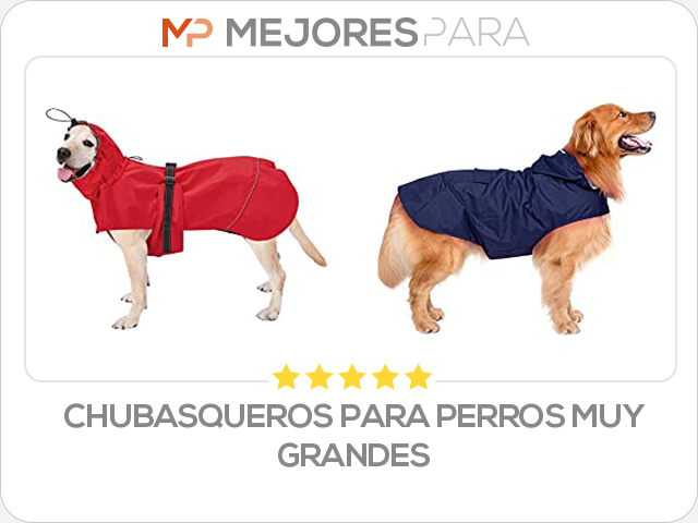 chubasqueros para perros muy grandes