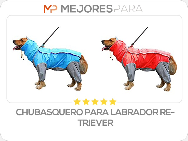 chubasquero para labrador retriever