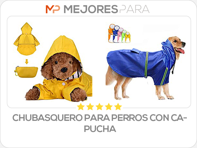 chubasquero para perros con capucha