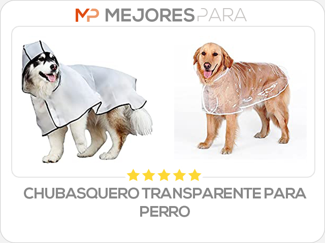 chubasquero transparente para perro