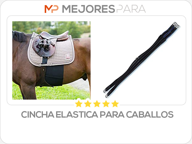 cincha elastica para caballos