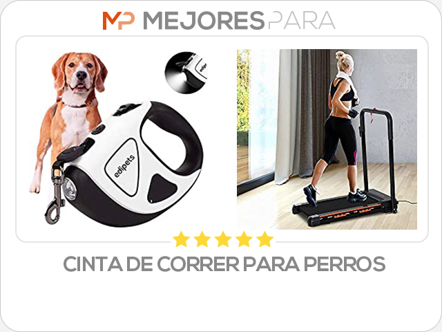 cinta de correr para perros