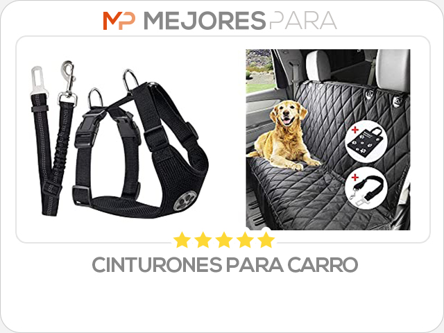 cinturones para carro