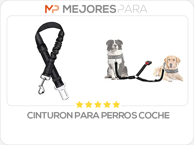 cinturon para perros coche