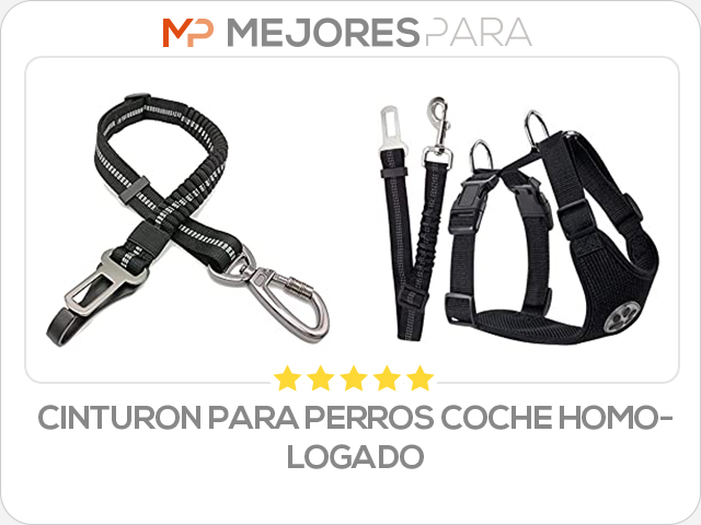 cinturon para perros coche homologado