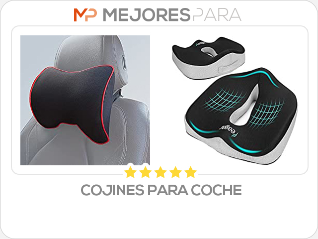 cojines para coche