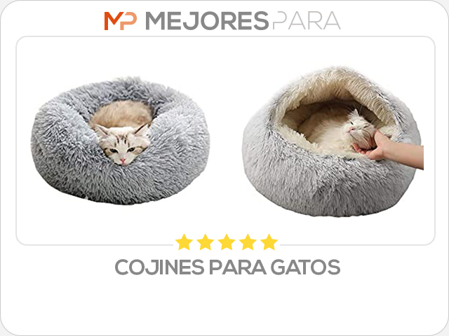 cojines para gatos