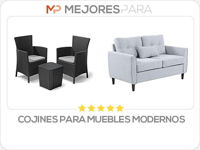 cojines para muebles modernos