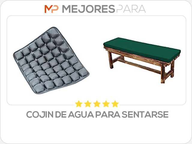 cojin de agua para sentarse