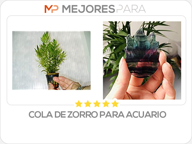 cola de zorro para acuario