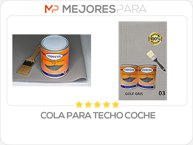 cola para techo coche