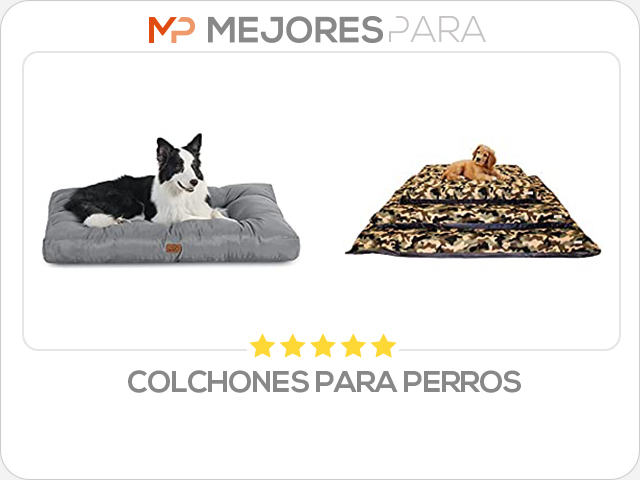 colchones para perros