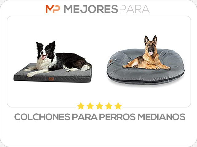 colchones para perros medianos