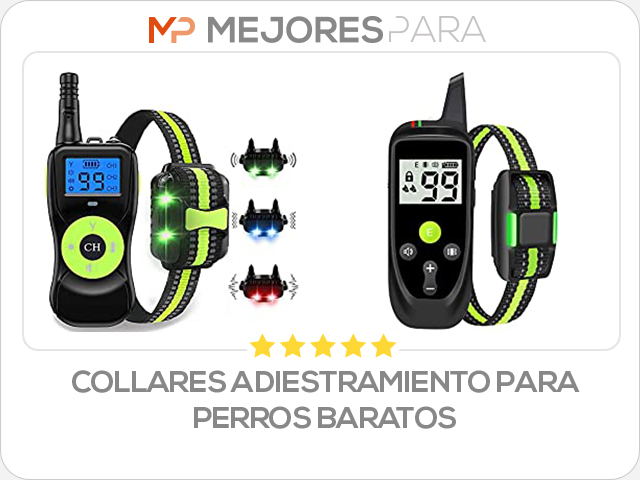 collares adiestramiento para perros baratos