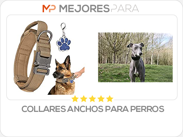 collares anchos para perros