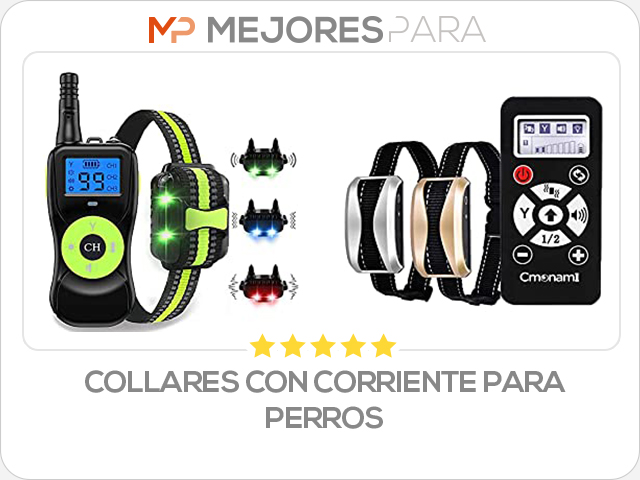 collares con corriente para perros