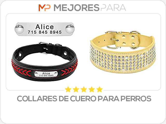 collares de cuero para perros