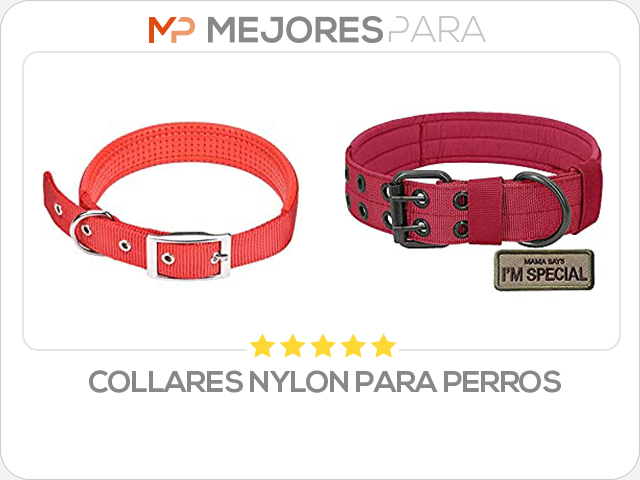 collares nylon para perros