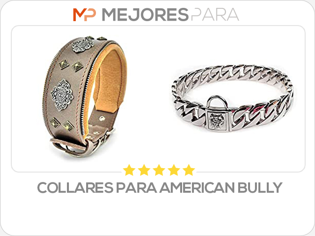 collares para american bully