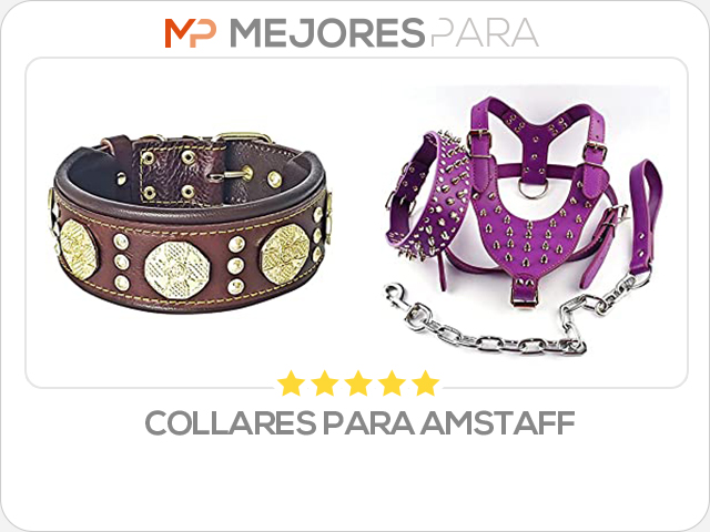 collares para amstaff