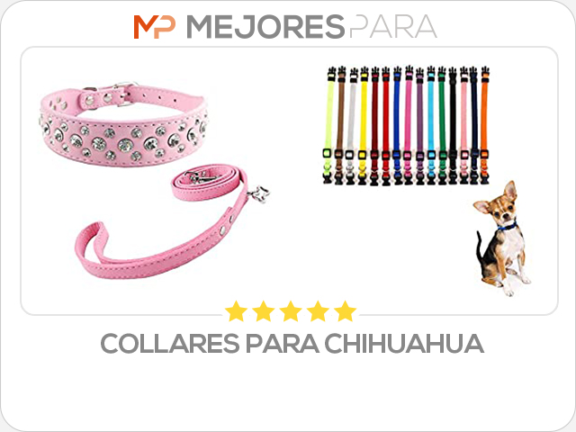 collares para chihuahua