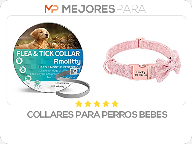 collares para perros bebes