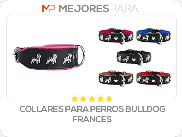 collares para perros bulldog frances