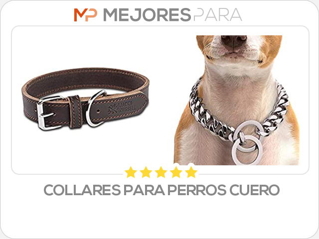 collares para perros cuero