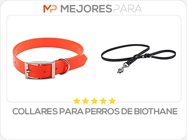 collares para perros de biothane