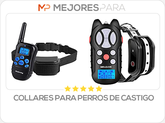 collares para perros de castigo