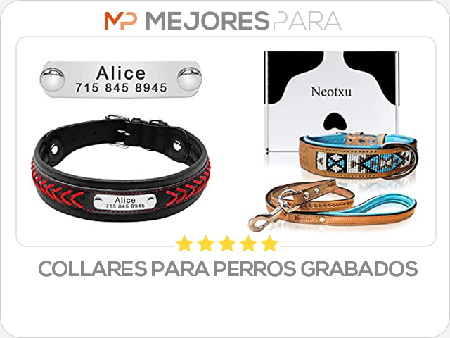 collares para perros grabados