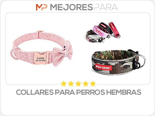 collares para perros hembras