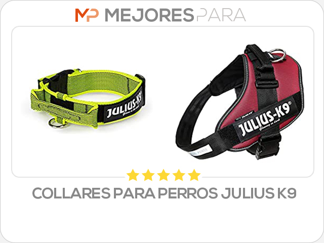 collares para perros julius k9