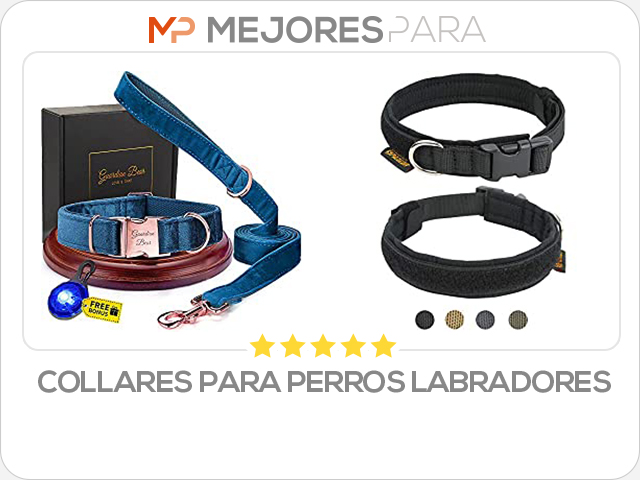 collares para perros labradores