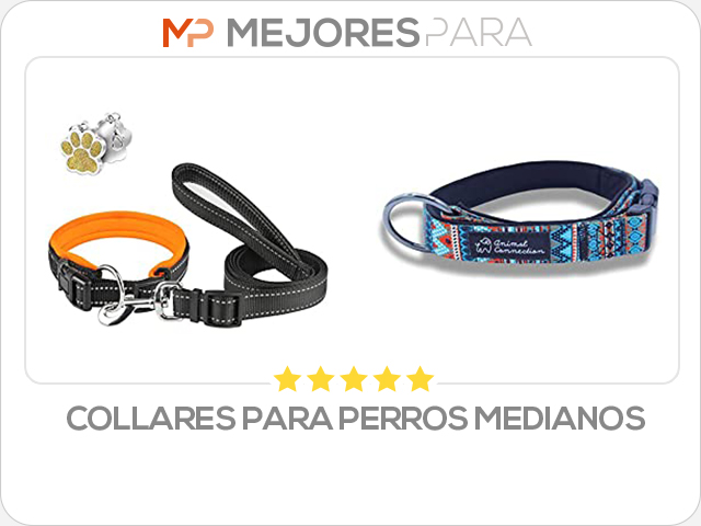 collares para perros medianos