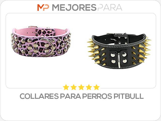 collares para perros pitbull