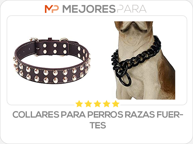 collares para perros razas fuertes