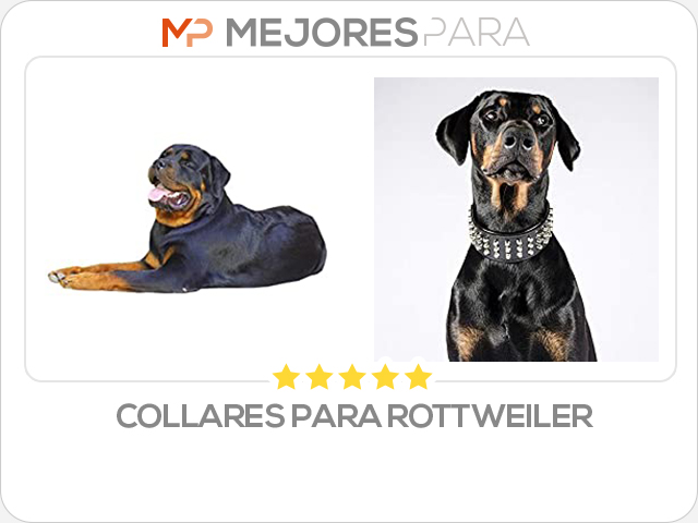 collares para rottweiler