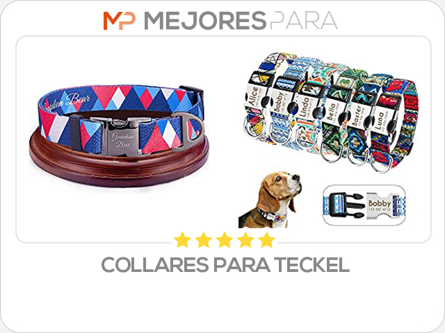 collares para teckel