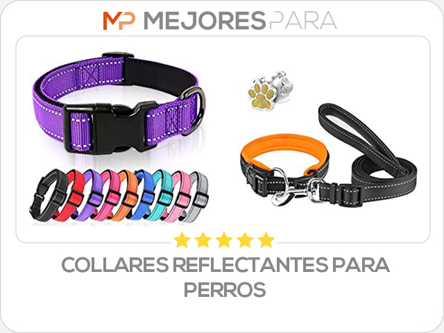 collares reflectantes para perros