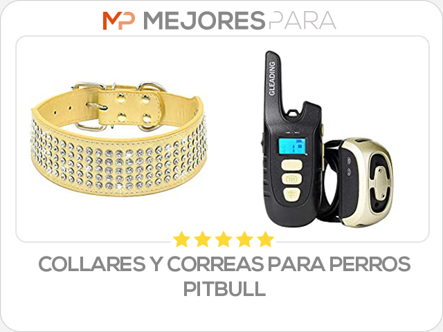 collares y correas para perros pitbull