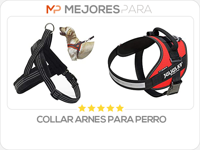 collar arnes para perro