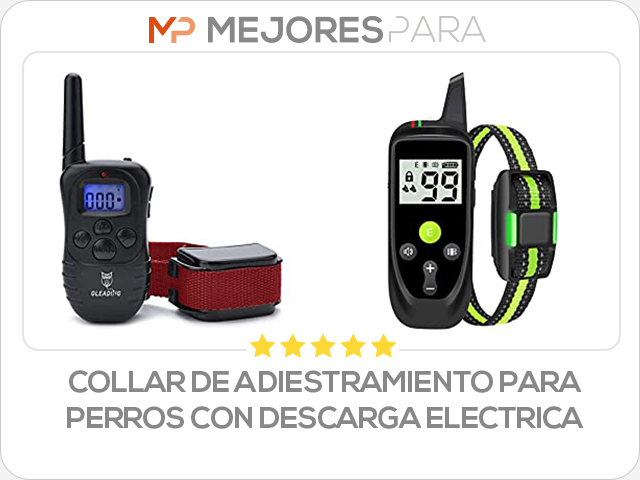 collar de adiestramiento para perros con descarga electrica