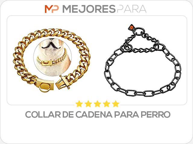 collar de cadena para perro