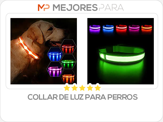 collar de luz para perros